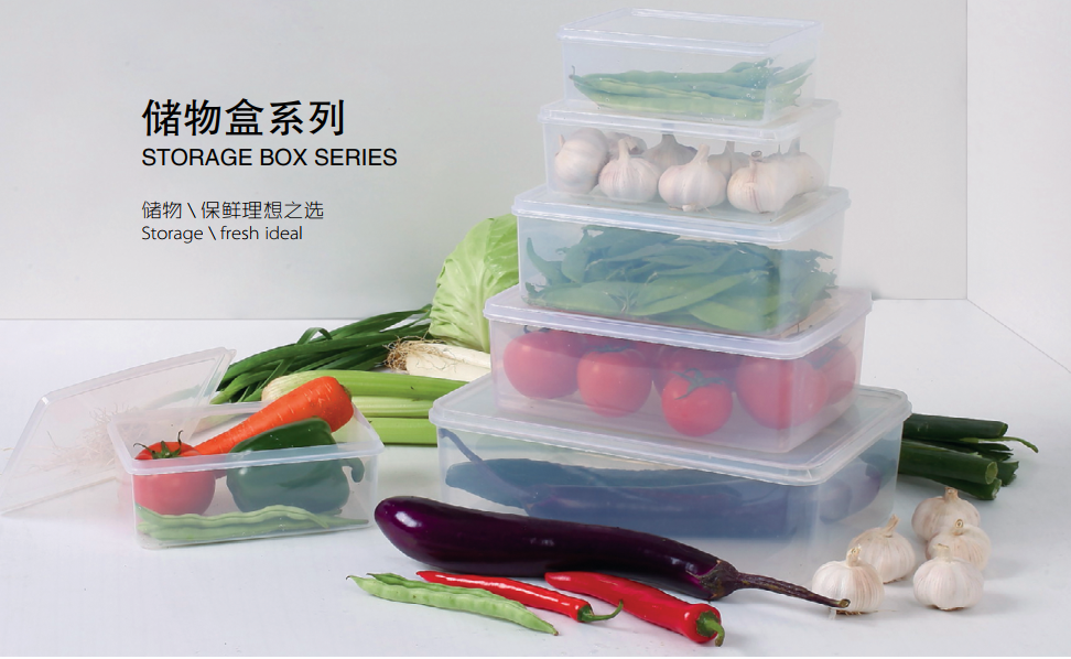 Foodstorage box